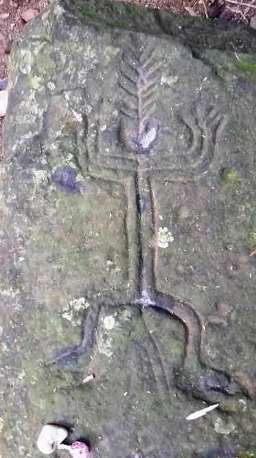 Alta Vista petroglyph